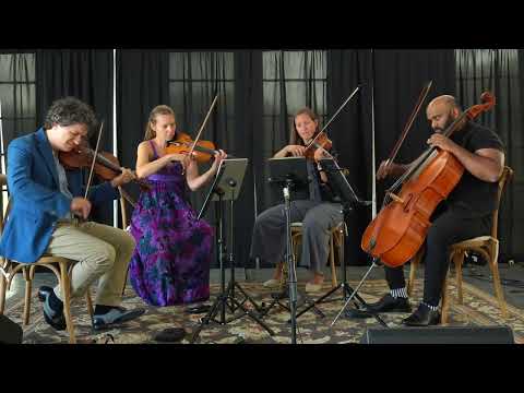 Venuti String Quartet Promo